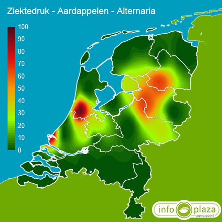 Alternaria